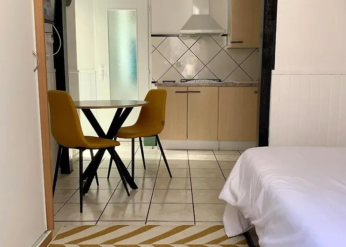 Pyrene Holidays - Heracles - Locations Cure Thermale Et Voyage A De Bigorre アパート バニエール・ド・ビゴール