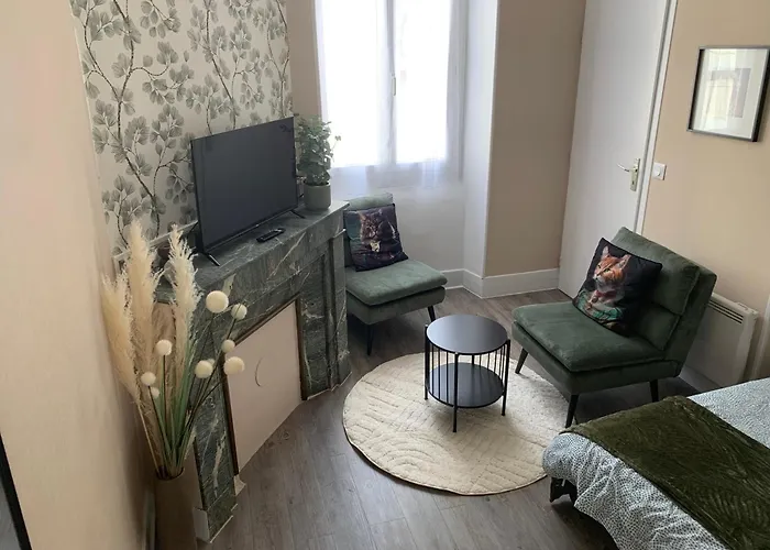 Pyrene Holidays - Heracles - Locations Cure Thermale Et Voyage A De Bigorre アパート